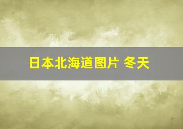 日本北海道图片 冬天